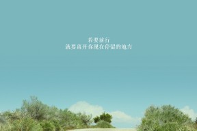 华体会体育-沙漠之鹰与蓝武士的博弈，坎塞洛一剑封喉，阿联酋在2026世界杯B组书写唯一剧本