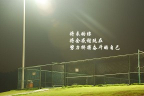 华体会app-孤星之战，厄瓜多尔悬崖边的抉择，C罗用葡萄牙烙印重塑世界杯头名格局