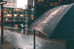华体会体育-孤星闪耀，2026世界杯E组，厄瓜多尔力克巴西，梅西以一己之力重写南美荣光