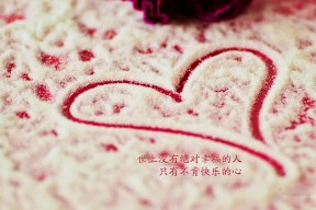 华体会登陆-铁壁独舞，范戴克如何在2026世界杯B组关键战中，以一己之力铸就丹麦的胜利之盾