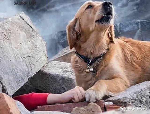 华体会hth-塞浦路斯遭西班牙重创，小组出局悲剧的简单介绍  第1张