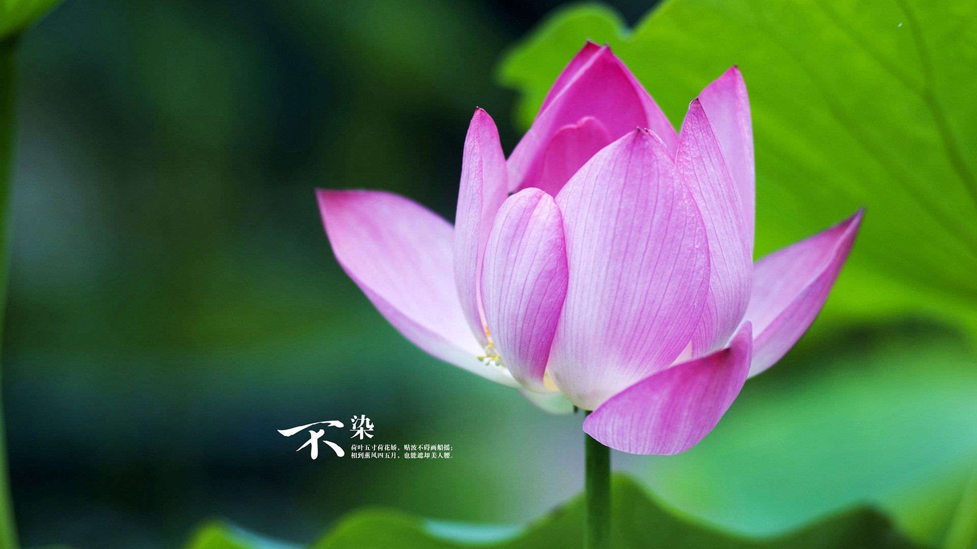 华体会hth-浓眉定律再现!浙江队加时鏖战掀翻骑士彰显大心脏 第1张 华体会hth-浓眉定律再现!浙江队加时鏖战掀翻骑士彰显大心脏 第1张