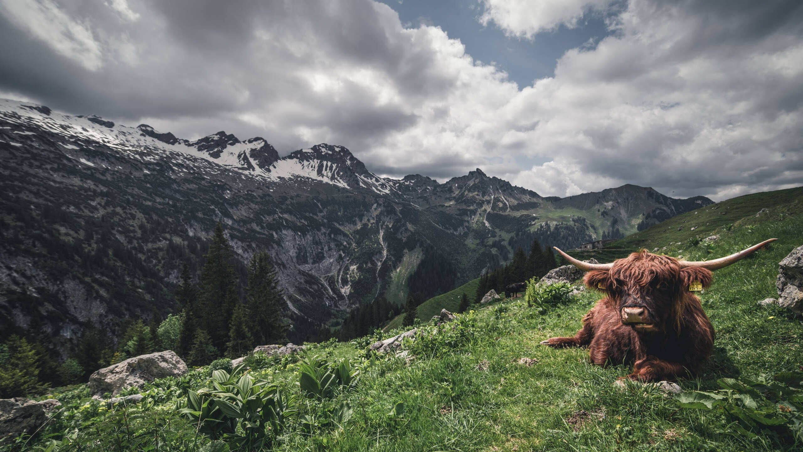 华体会hth-拜仁对阵韩国,当足球DNA双螺旋在布鲁诺的高能输出中完美配对 第1张 华体会hth-拜仁对阵韩国,当足球DNA双螺旋在布鲁诺的高能输出中完美配对 第1张