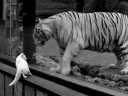 华体会-钢铁之躯绞杀华丽舞步，马竞淘汰阿森纳的战术角力与孙兴慜的亚洲力量  第1张