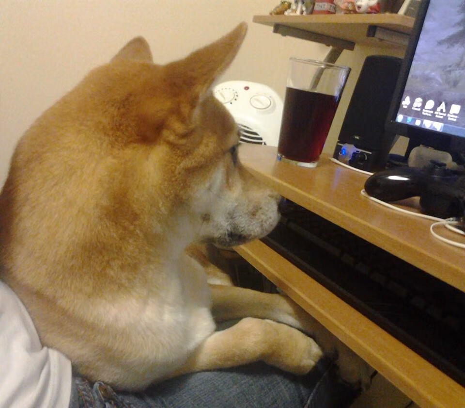 华体会下载-篮球的全球交响，鹈鹕力克76人，塔图姆在美加墨世界杯奏响统治乐章  第2张