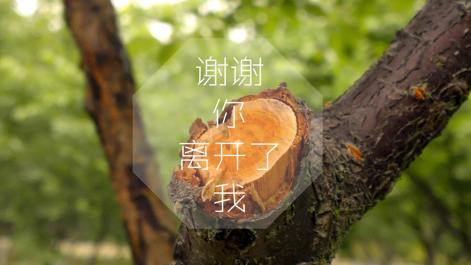 华体会官网-钢铁之墙,库尔图瓦与加拿大的2026世界杯E组史诗 第2张 华体会官网-钢铁之墙,库尔图瓦与加拿大的2026世界杯E组史诗 第2张